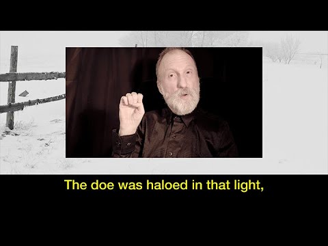 YOOPER POETRY: "Doe After a Blizzard" by Martin Achatz
